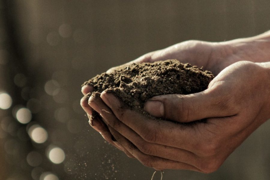 soil