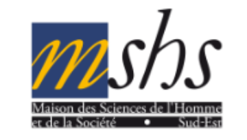 Logo Mshs2