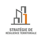 Resilience Strategy