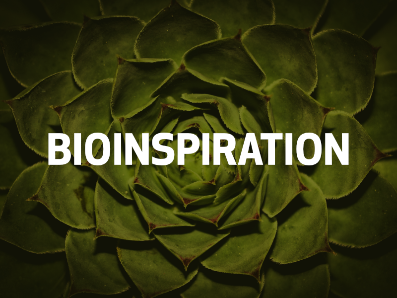 Bioinspiration