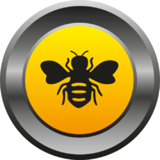 169 1693564 Pics Desktop Backgrounds The Concept Beebee Automotive Honeybee