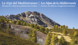 ALPIMED Ecoterr-featured