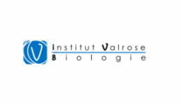 IBV-logo
