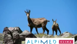 featured-climat_logo