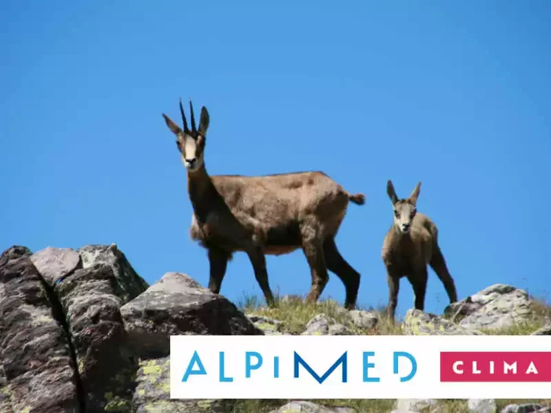 featured-climat_logo